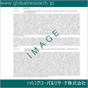 グローバルリサーチ調査資料のイメージ